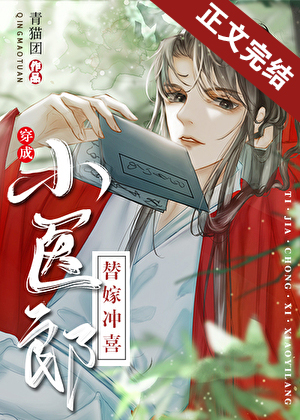 替嫁冲喜小医郎[穿书]小说封面图