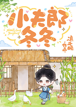 小夫郎冬冬小说封面图