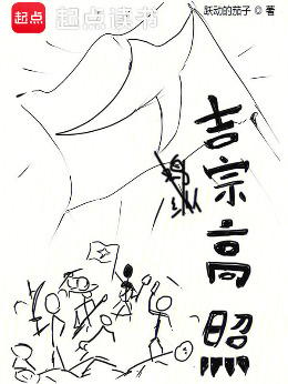 吉宗高照小说封面图