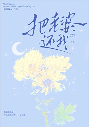 把老婆还我小说封面图