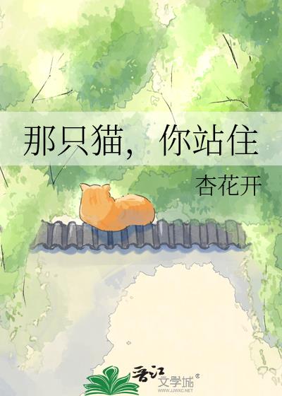 那只猫，你站住小说封面图