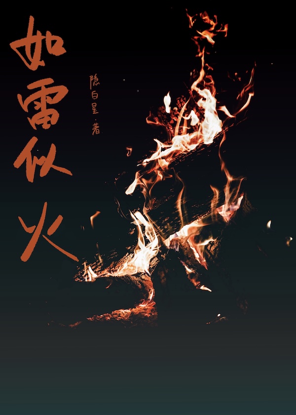 如雷似火小说封面图