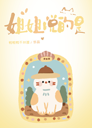 姐姐说的是小说封面图