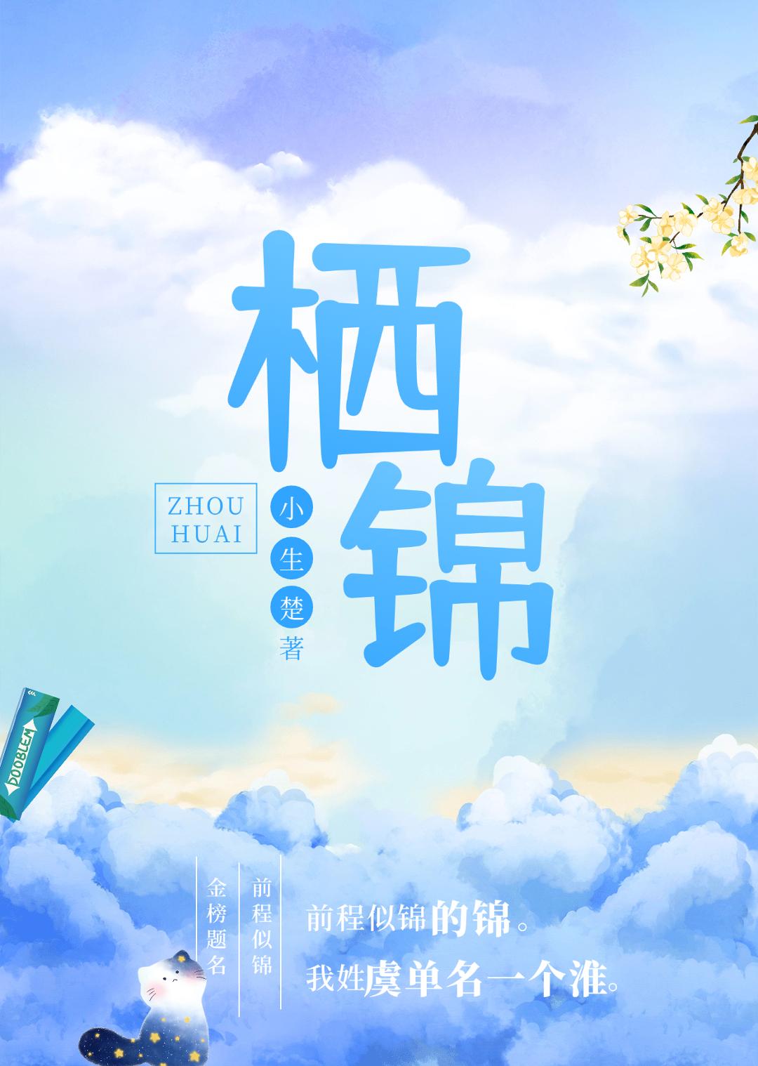 栖锦小说封面图