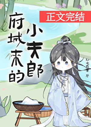 府城来的小夫郎小说封面图