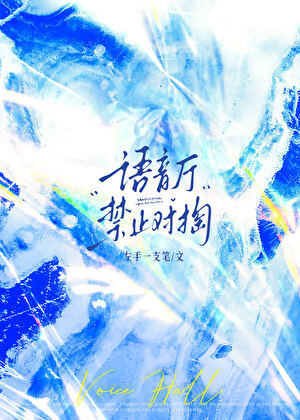 语音厅禁止对掏小说封面图