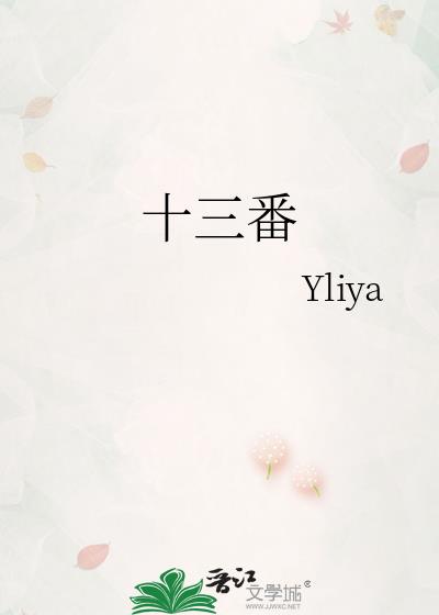 十三番小说封面图