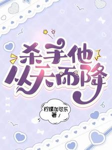 杀手他从天而降小说封面图
