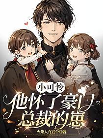 小可怜他怀了豪门总裁的崽小说封面图