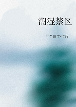 潮湿禁区小说封面图