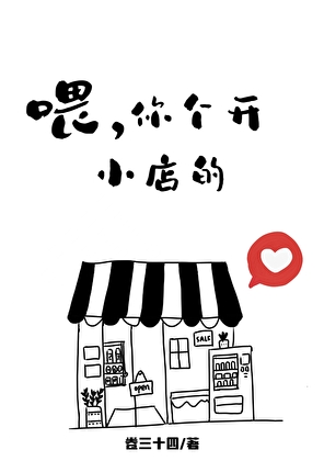 喂，你个开小店的小说封面图