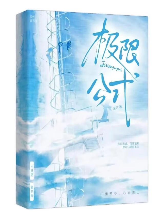 极限公式小说封面图