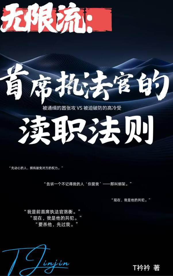 无限：首席执法官的渎职法则小说封面图
