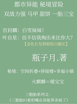 秘境双强一胎三宝小说封面图