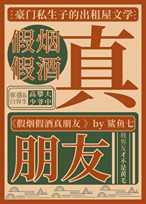 真骑士与假王子小说封面图