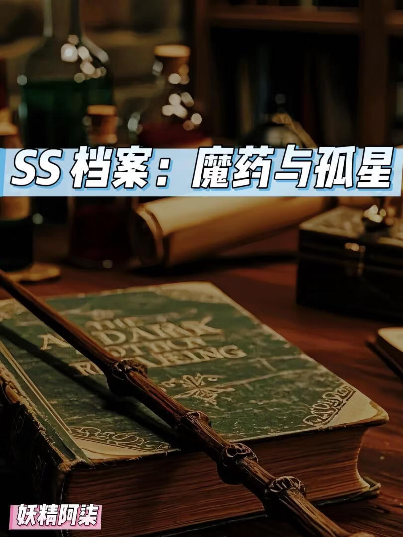 SS文件：魔药与孤星