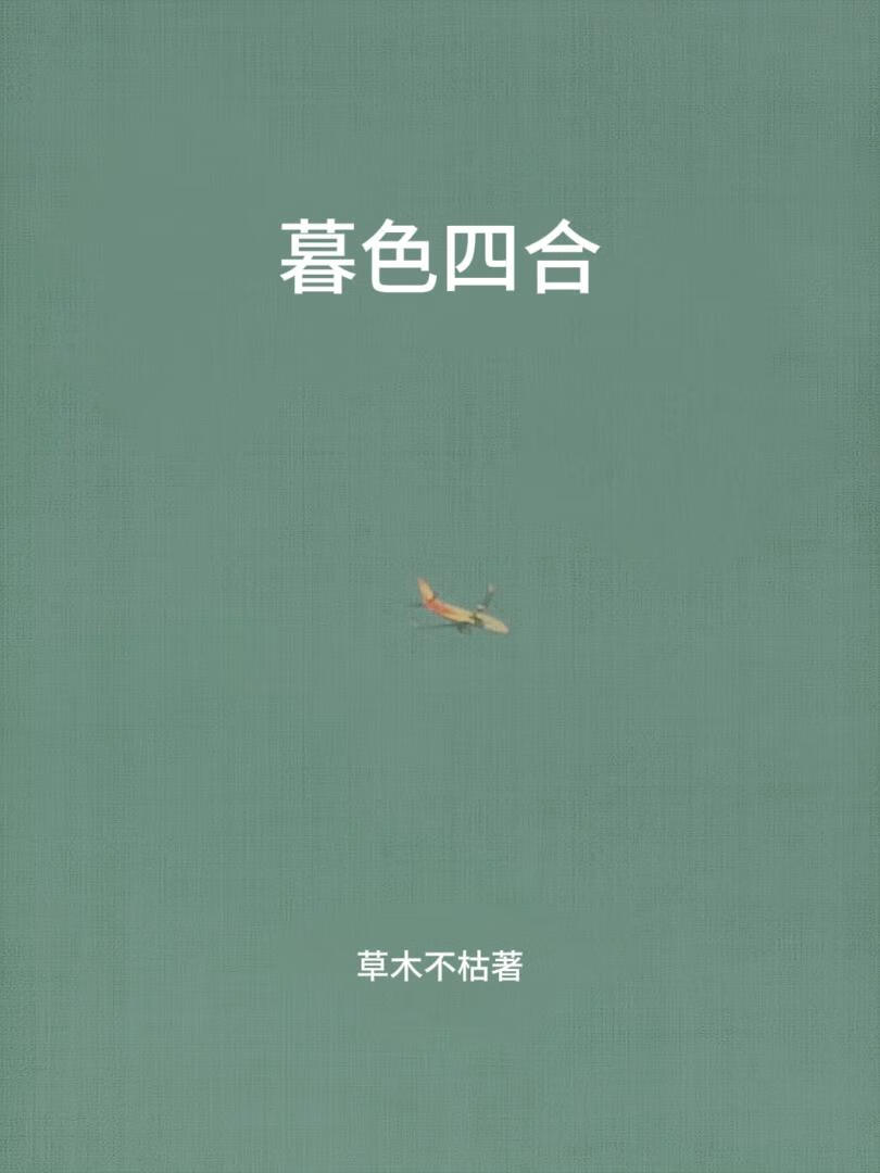 暮色四合小说封面图