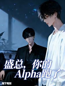 盛总，你的Alpha跑了小说封面图