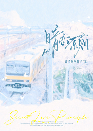 暗恋原则小说封面图