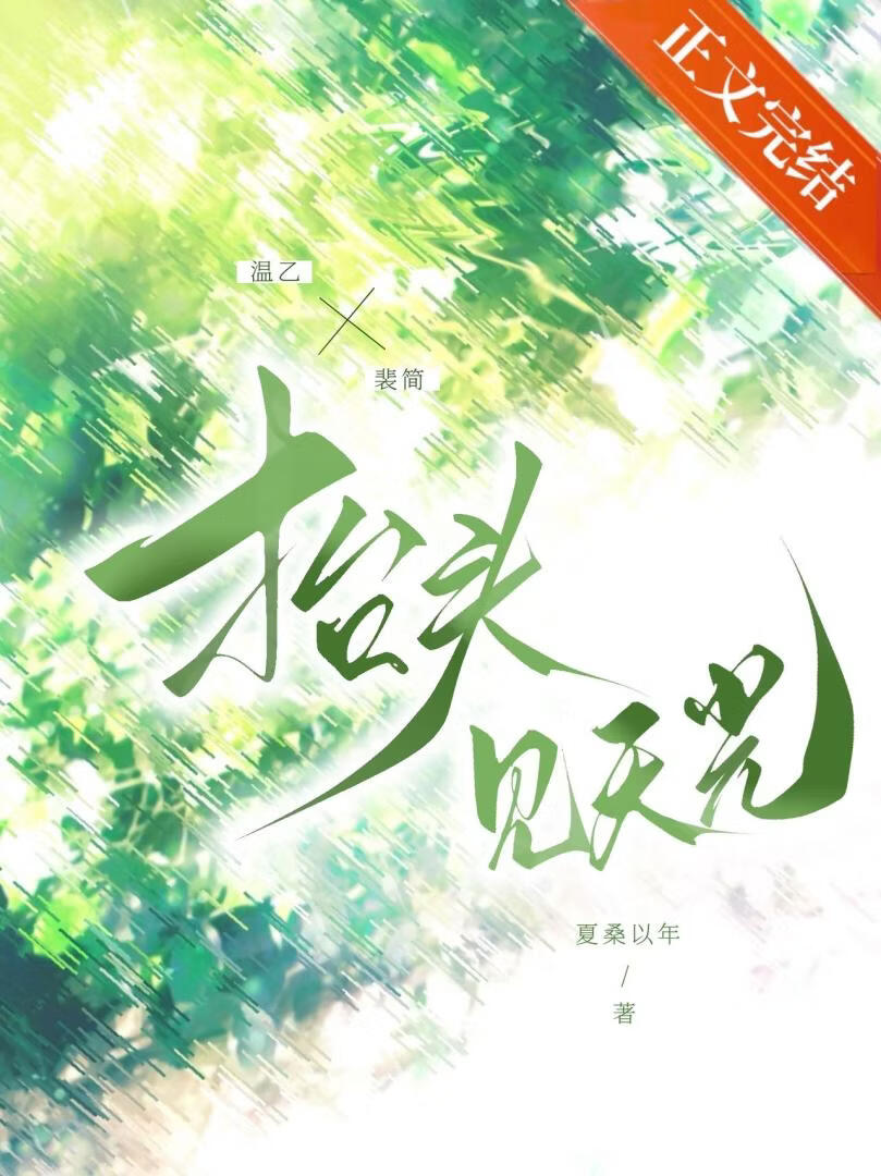擡头见天光小说封面图