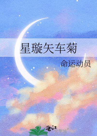 星璇矢车菊