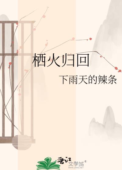 栖火归回小说封面图