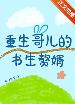 重生哥兒的書生贅婿