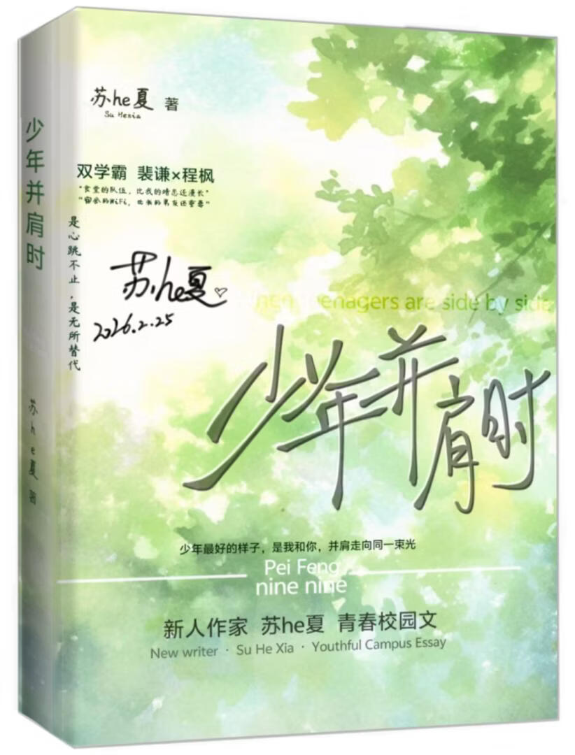 少年並肩時