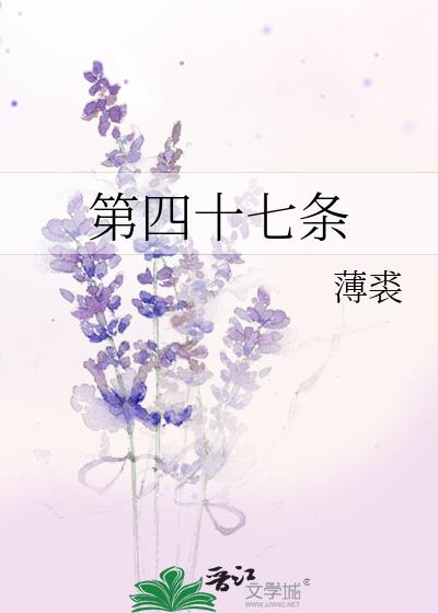 第四十七条小说封面图