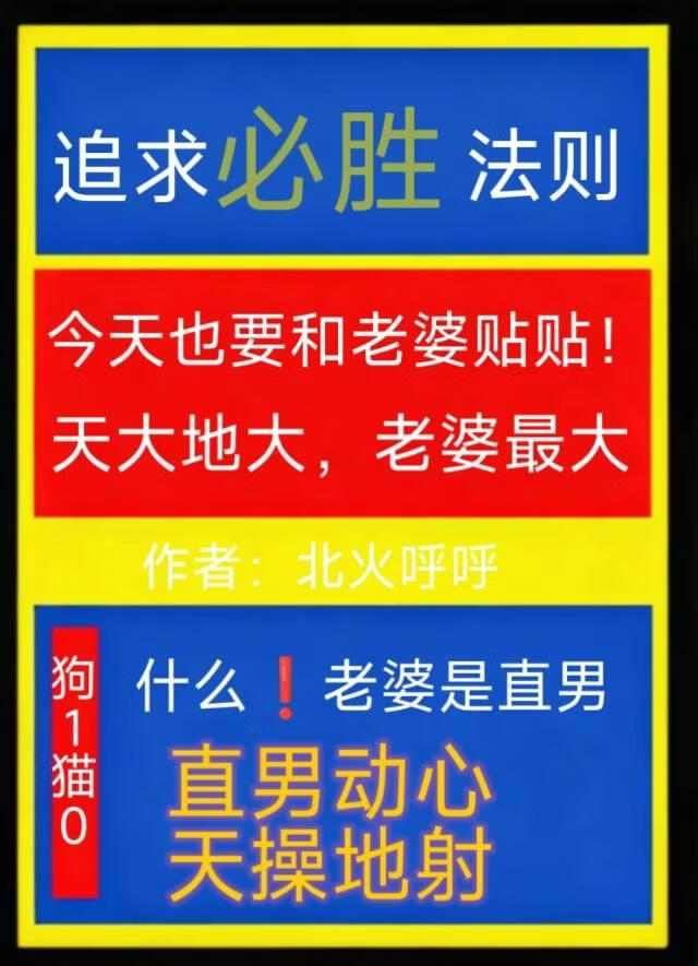 追求直男的必勝法則